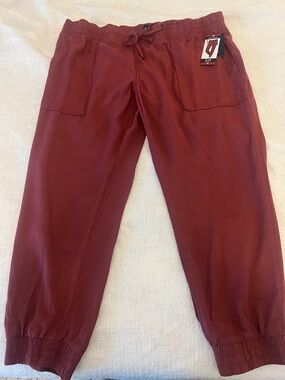 GAP Women’s Tencel Jogger in Merlot/Deep Burgundy Sz XL NWT